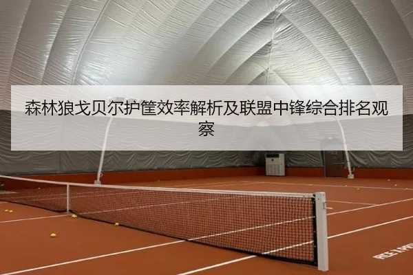 森林狼戈贝尔护筐效率解析及联盟中锋综合排名观察